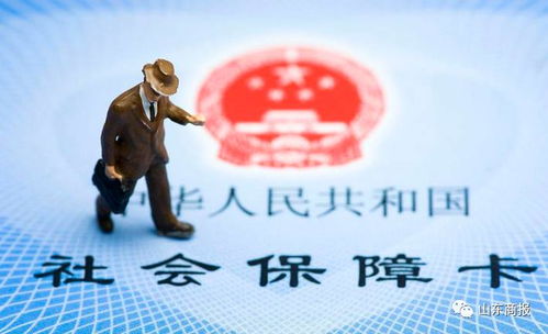 霓科医保提取代办平台外地已停保的医保卡余额怎么取现？这份操作指南让你少走弯路
